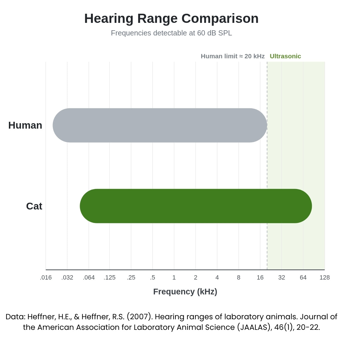 cat hearing range