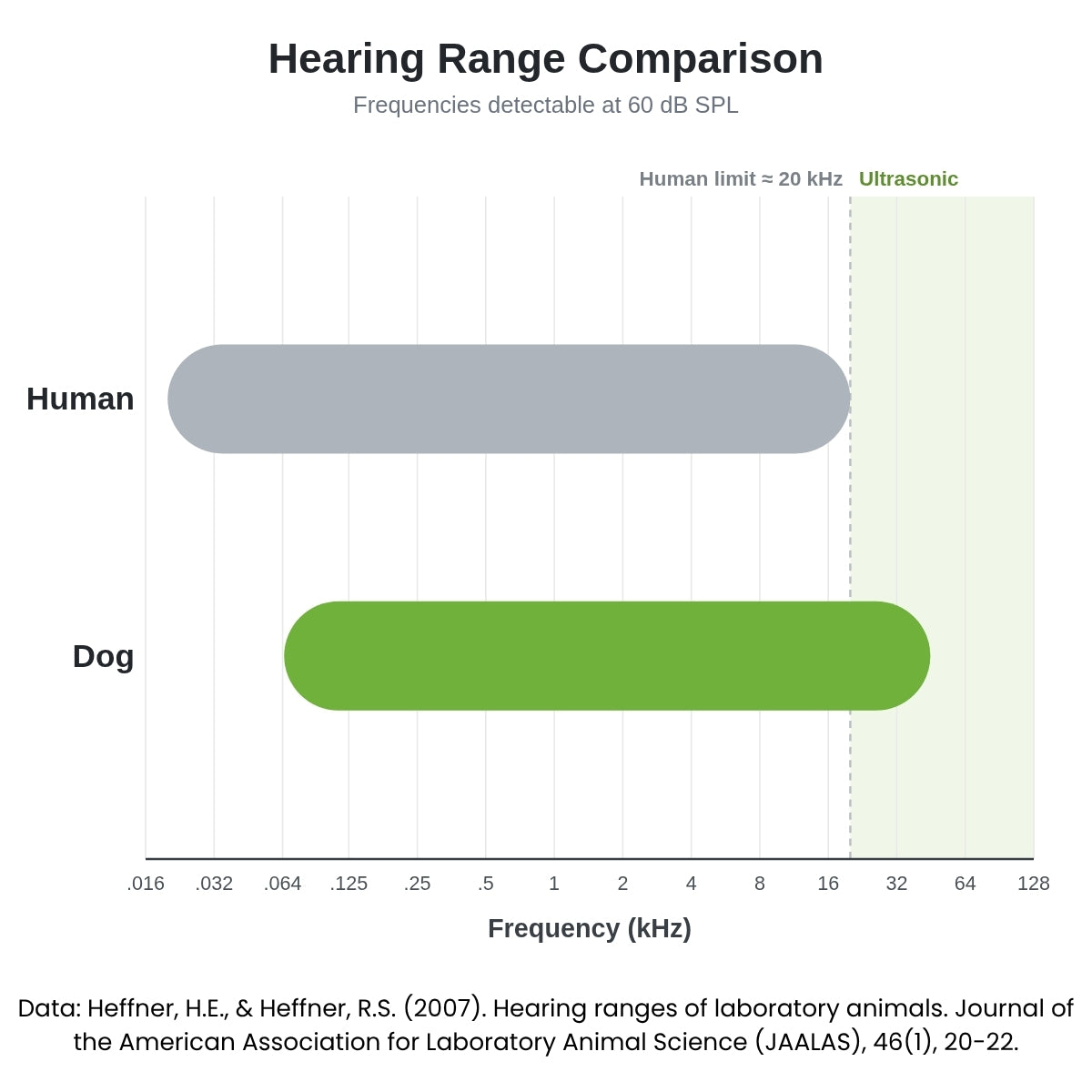 dog hearing range